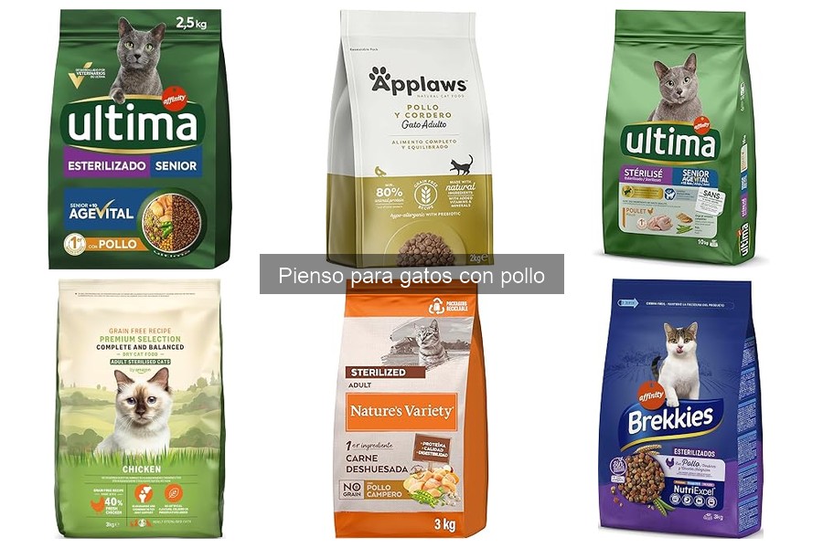Comparativa de los Mejores Piensos para Gatos con Pollo