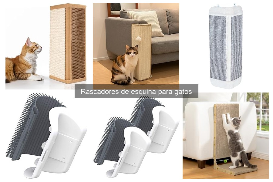 Comparativa de los mejores rascadores de esquina para gatos