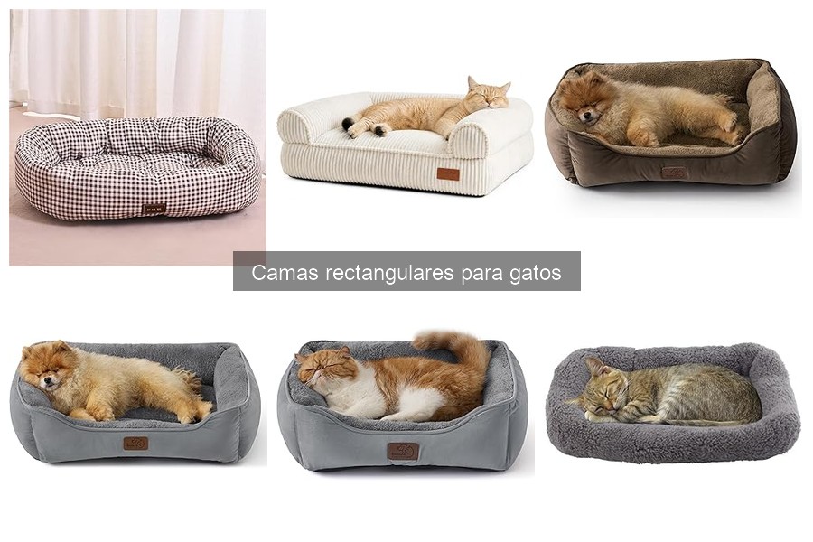 Comparativa de Materiales en Camas Rectangulares para Gatos