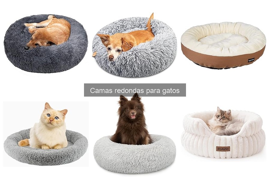 Comparativa de materiales en camas redondas para gatos