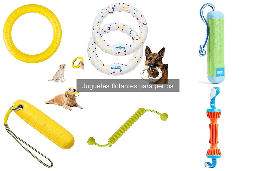 Comparativa de materiales en juguetes flotantes para perros