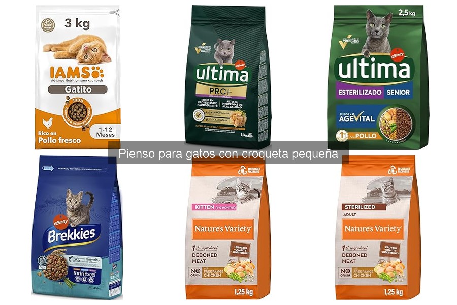 Comparativa de mejores piensos con croquetas pequeñas para gatos