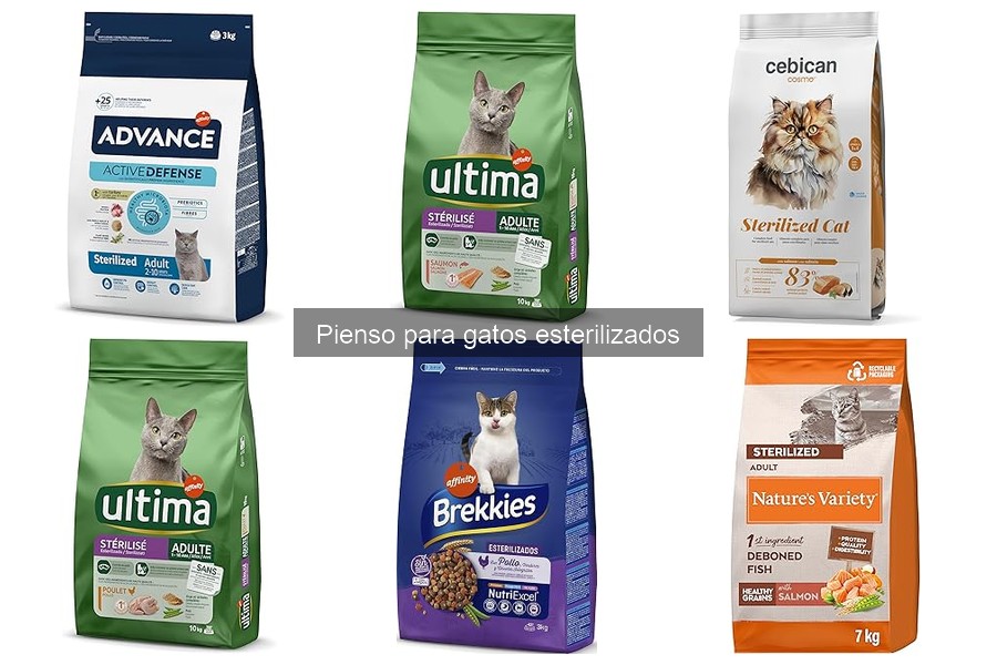 Comparativa de Mejores Piensos para Gatos Esterilizados