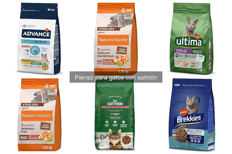 Comparativa de Pienso para Gatos: Salmón vs Pollo y Ternera