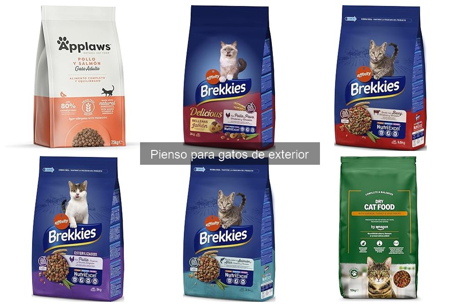 Comparativa de Piensos para Gatos de Exterior: Mejores Marcas
