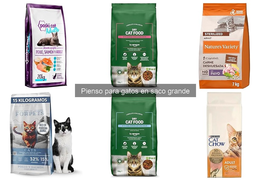 Comparativa de Piensos para Gatos en Saco Grande