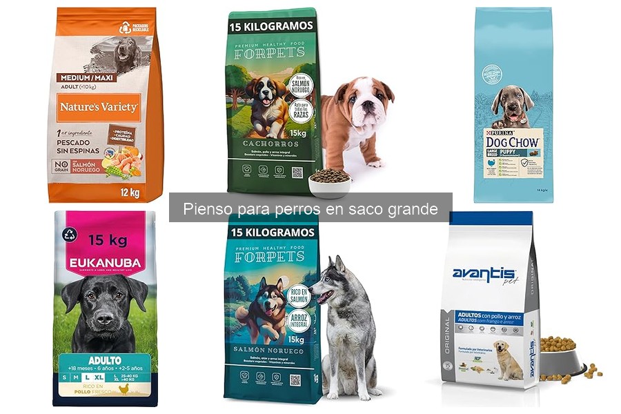 Comparativa de Piensos para Perros en Saco Grande