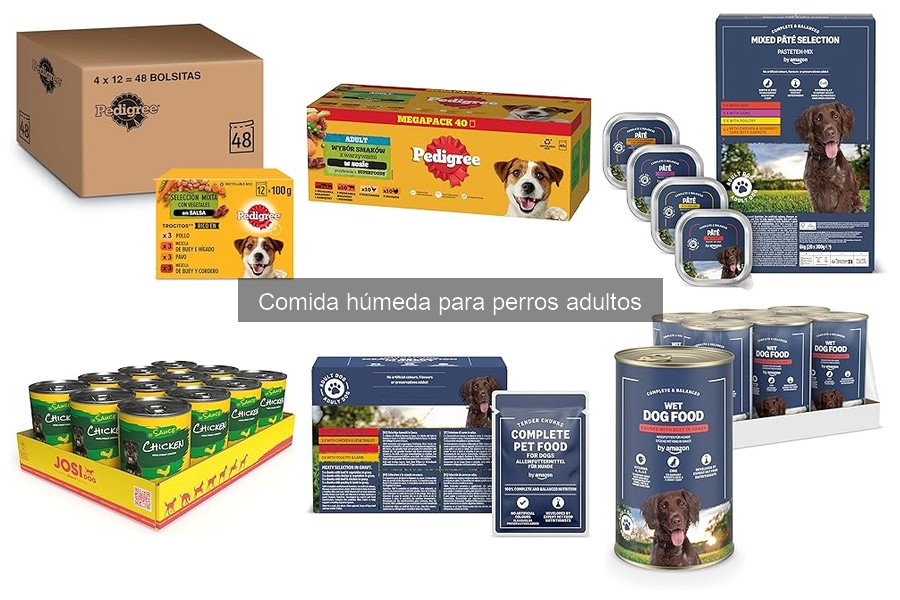 Comparativa de precios de comida húmeda para perros adultos