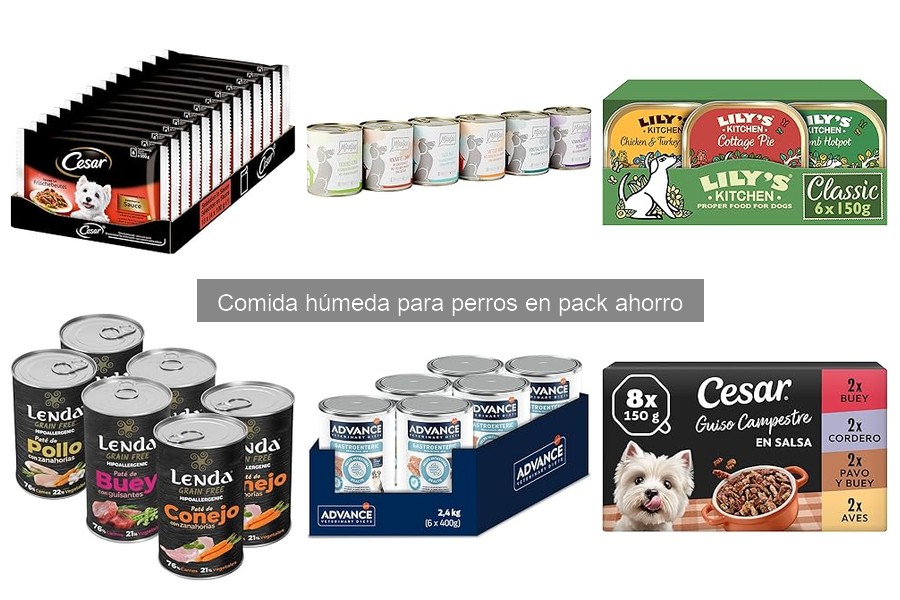 Comparativa de Precios de Comida Húmeda para Perros en Pack Ahorro