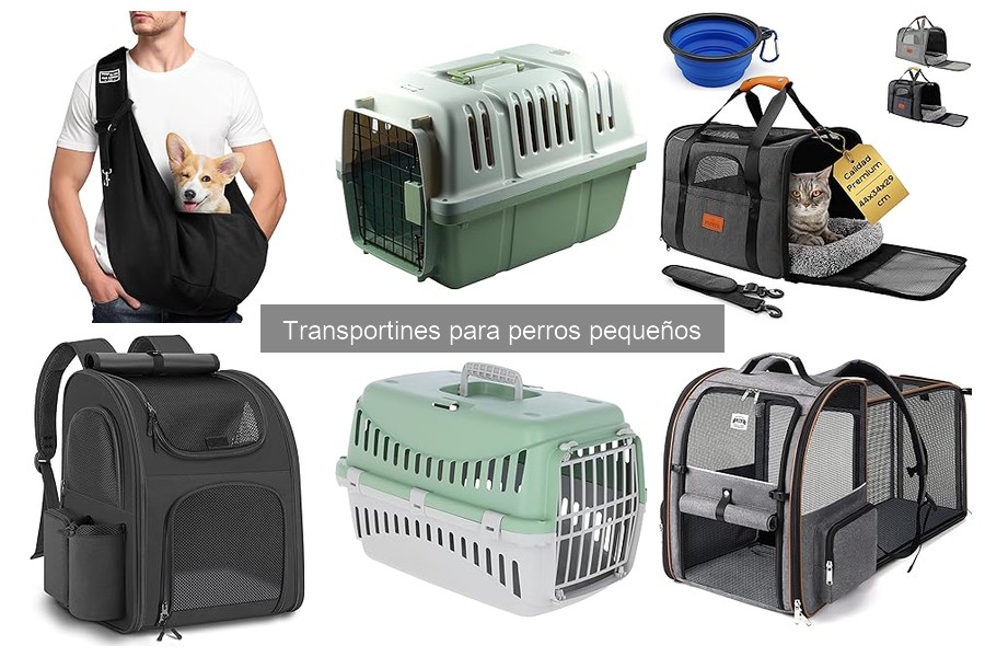 Comparativa de Transportines Blandos y Rígidos para Perros Pequeños