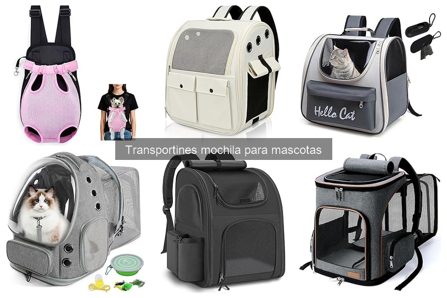 Comparativa de transportines mochila para mascotas: mejores marcas