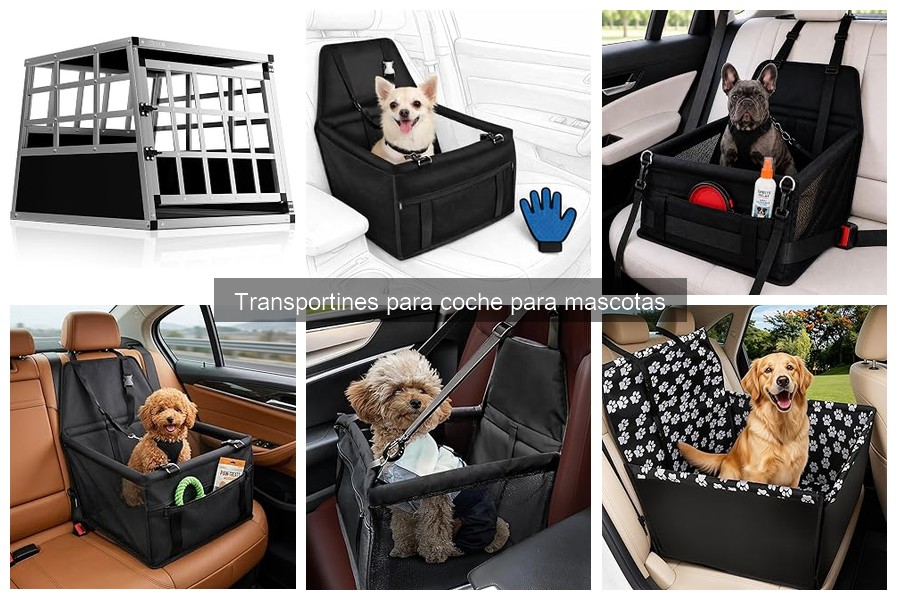 Comparativa de Transportines para Coche de Mascotas