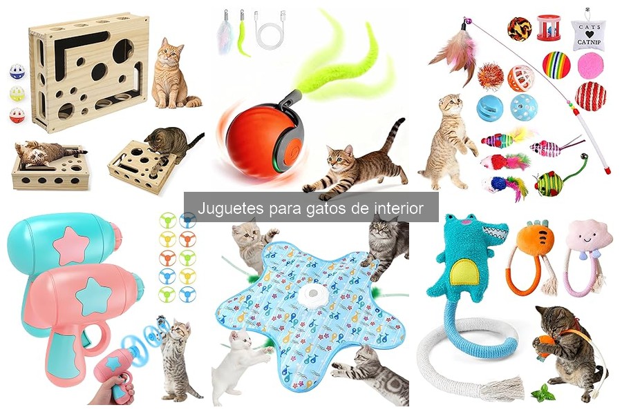 Comparativa: Juguetes Interactivos vs. Tradicionales para Gatos