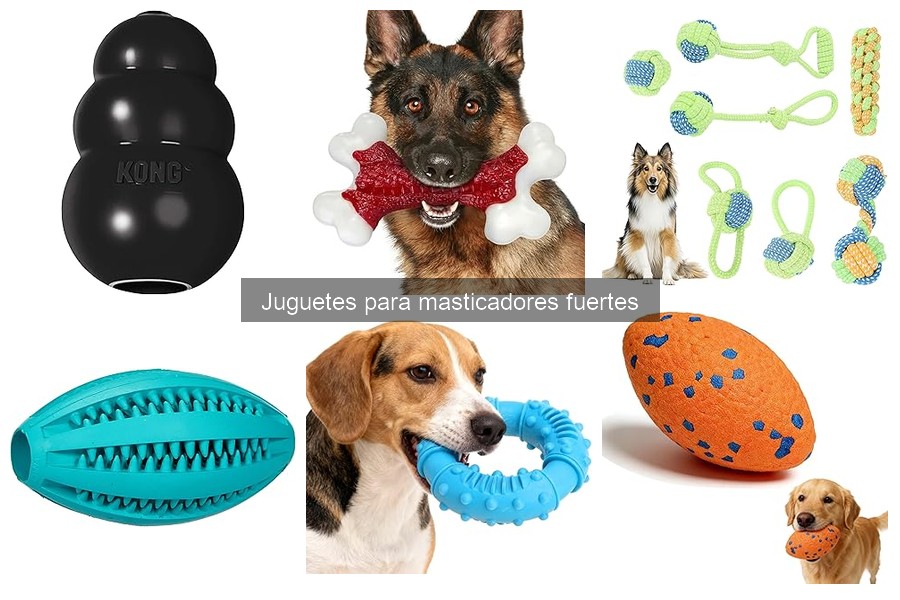 Comparativa: Juguetes Masticables vs. Interactivos para Perros