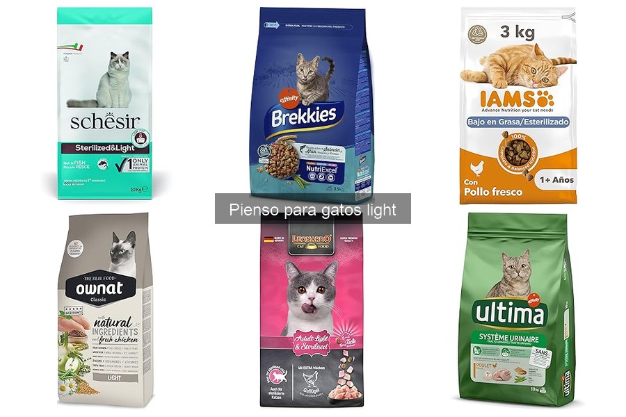 Comparativa: Pienso Light vs Regular para Gatos