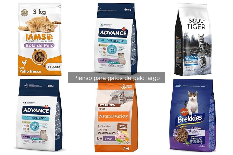 Comparativa: Pienso seco vs. húmedo para gatos de pelo largo