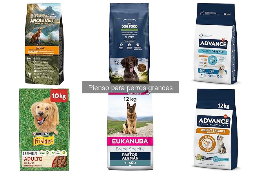 Comparativa: Pienso seco vs. húmedo para perros grandes