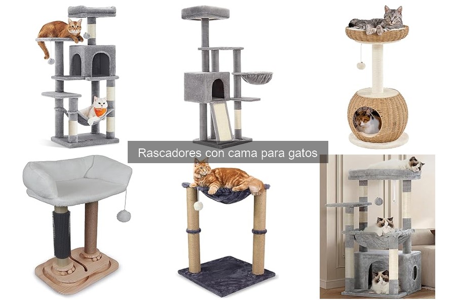 Comparativa Rascadores con Cama vs. Rascadores Convencionales