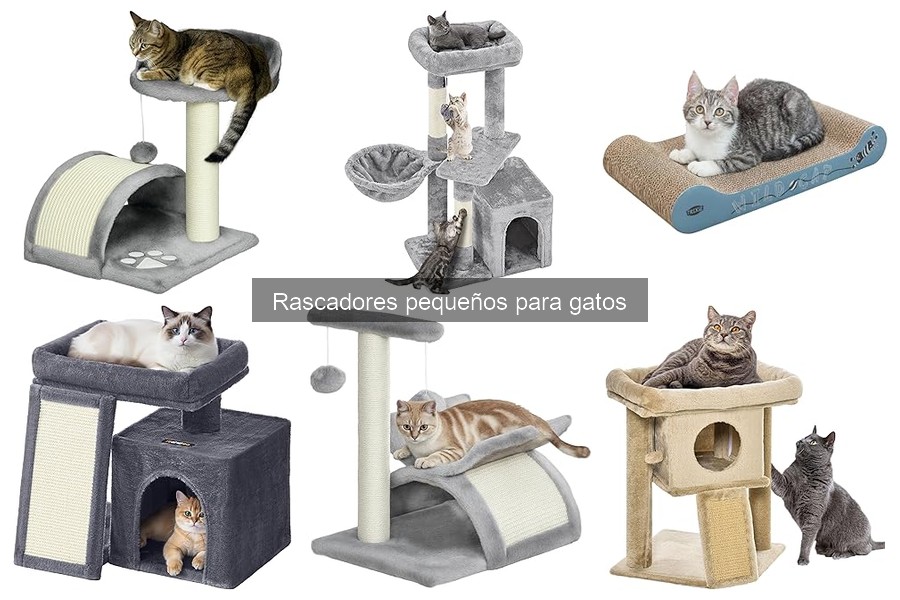 Comparativa: Rascadores de Cartón vs. Lana para Gatos