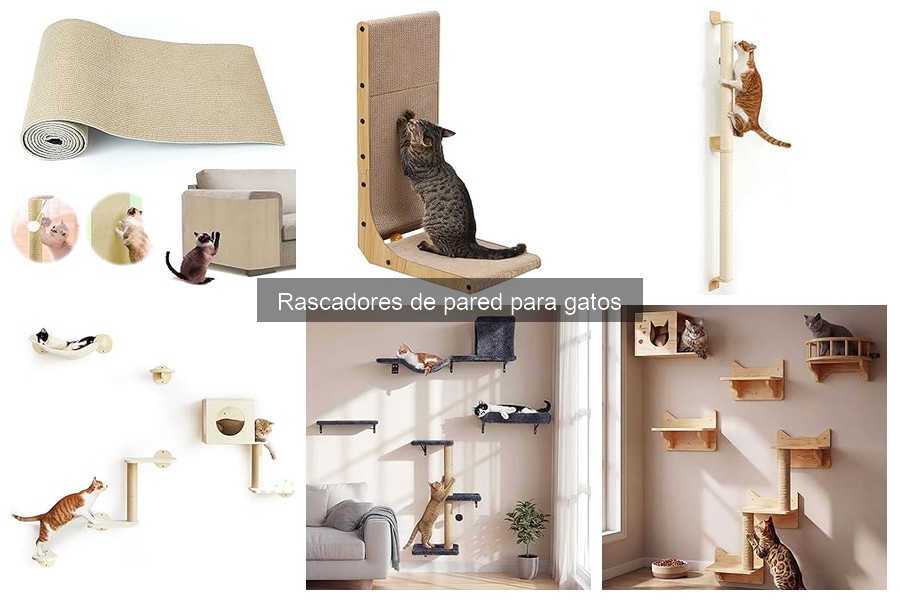 Comparativa: Rascadores de Pared vs. Suelo para Gatos