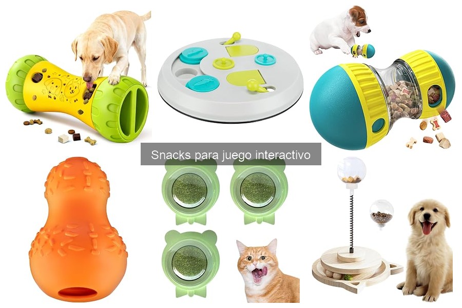 Comparativa: Snacks vs. Juguetes Interactivos para Perros