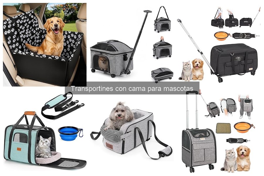 Comparativa: Transportines con cama vs. Rígidos para mascotas