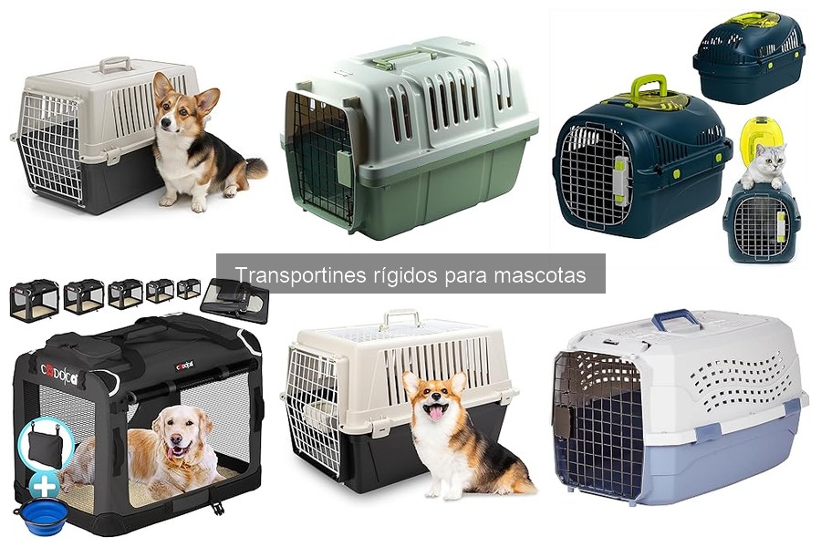 Comparativa: Transportines Rígidos vs. Blandos para Mascotas