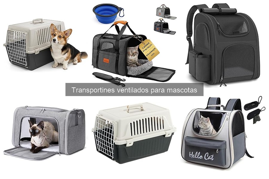 Comparativa: Transportines Ventilados vs Rígidos para Mascotas