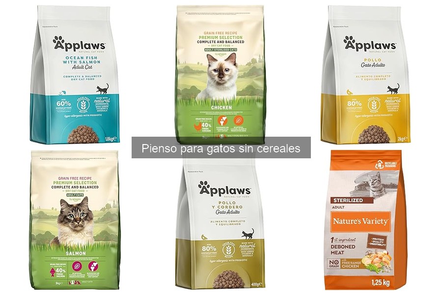 Composición ideal del pienso sin cereales para gatos