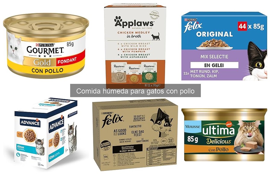 Compra comida húmeda para gatos con pollo a buen precio