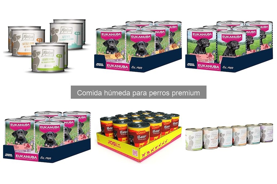 Compra comida húmeda premium para perros a buen precio
