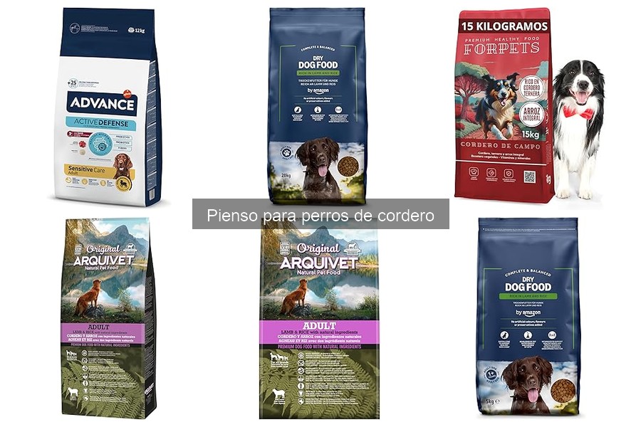 Compra pienso de cordero para perros al mejor precio