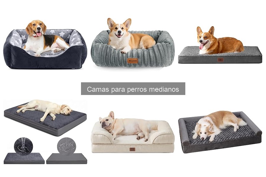 Comprar camas para perros medianos a buen precio