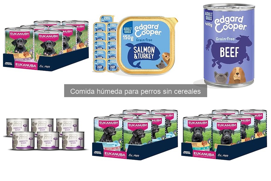 Consecuencias de no dar comida húmeda sin cereales a tu perro