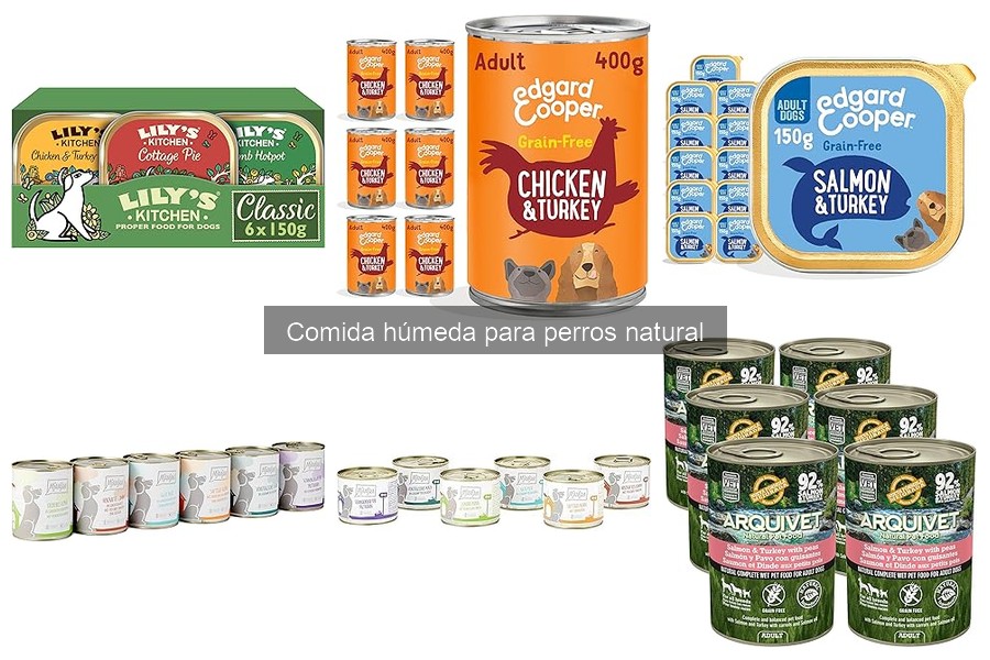 Consejos para almacenar comida húmeda natural para perros
