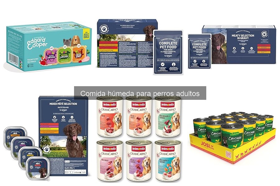 Consejos para almacenar comida húmeda para perros adultos