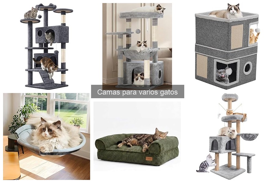 Consejos para cuidar y mantener camas para gatos