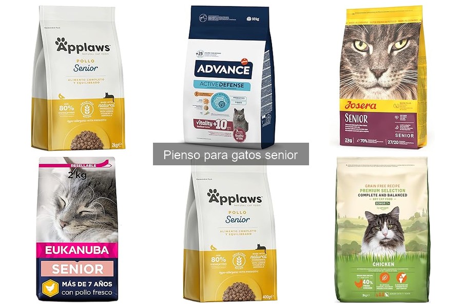 Consejos para elegir el mejor pienso para gatos senior