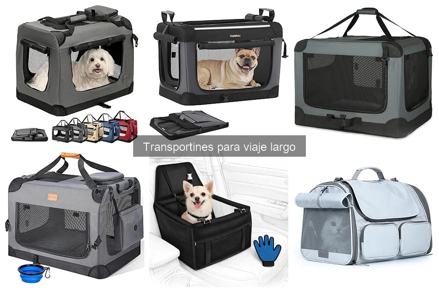 Consejos para elegir el transportín adecuado para mascotas