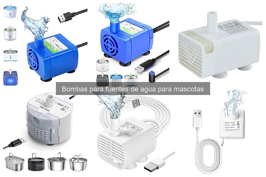 Consejos para Elegir la Bomba Ideal para Fuentes de Agua de Mascotas