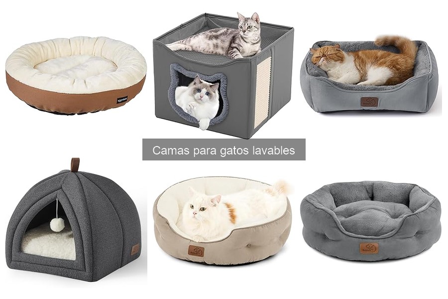 Consejos para Elegir la Cama Lavable Ideal para Tu Gato