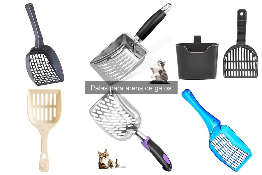 Consejos para enseñar a tu gato a usar la pala de arena