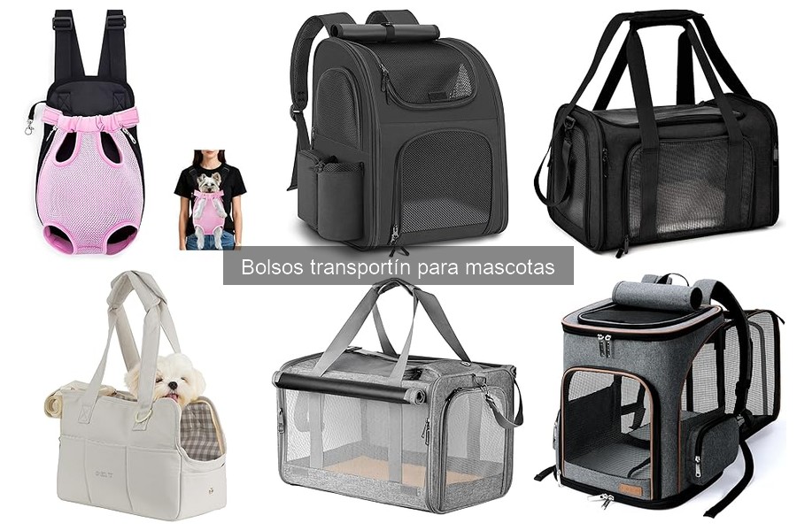 Consejos para habituar a tu mascota al bolso transportín