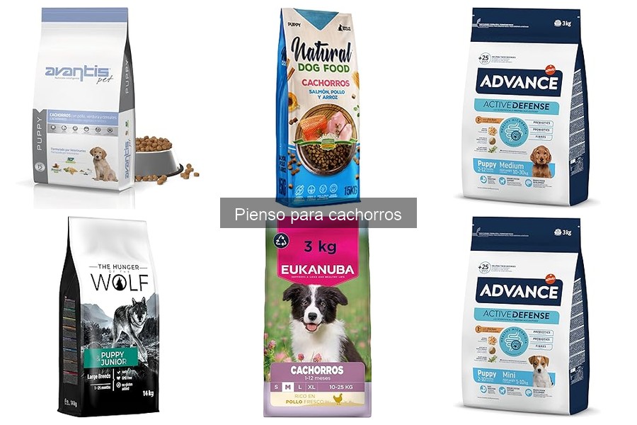 Consejos para la Transición de Piensos en Cachorros
