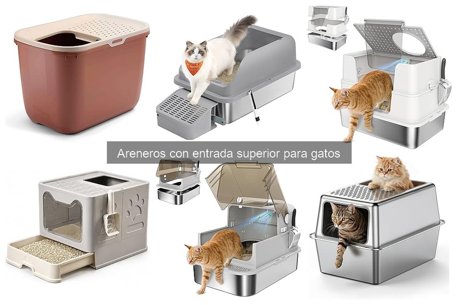 Consejos para Mantener limpio un Arenero Superior para Gatos