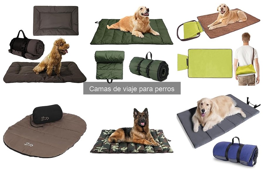 Consejos para Viajar con tu Perro y su Cama de Viaje
