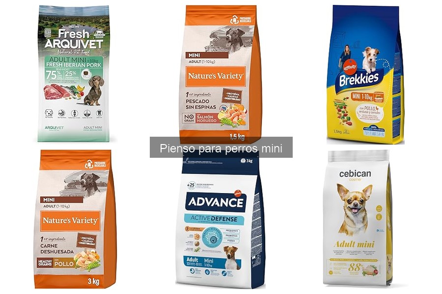 ¿Cuál es el mejor pienso para perros mini según veterinarios?