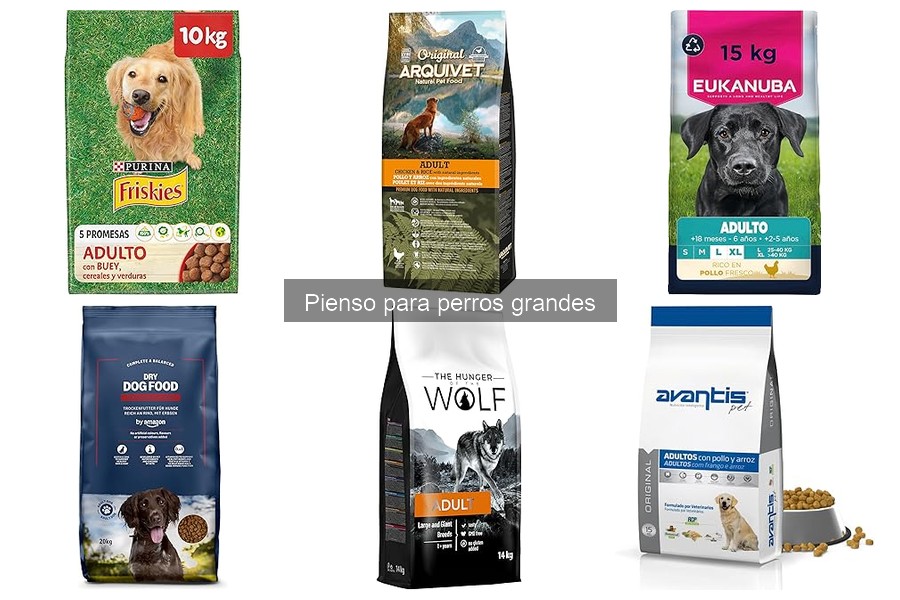¿Cuándo cambiar la fórmula del pienso para perros grandes?