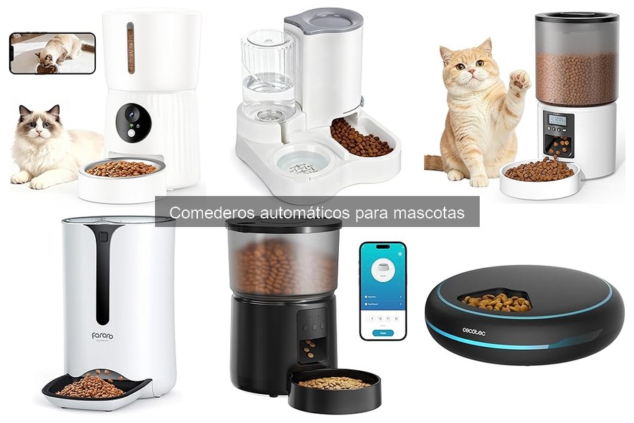 ¿Cuándo evitar los comederos automáticos para mascotas?
