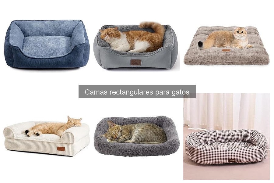 ¿Cuándo reemplazar la cama de mi gato? Signos de desgaste